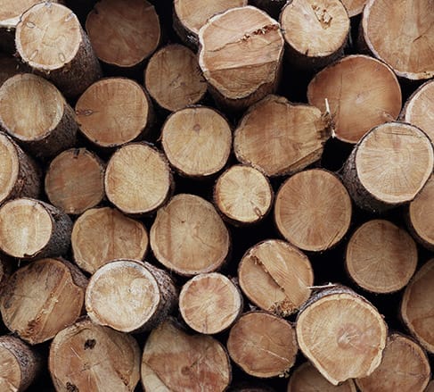 image of a stack of wood insured by the best logging insurance in Columbia, SC